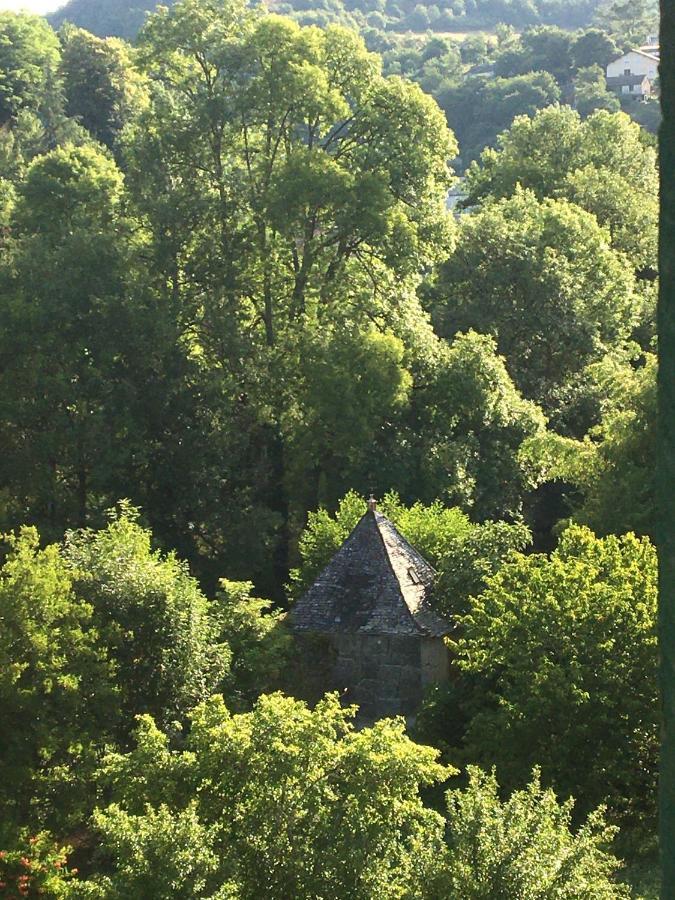 La Maison Sur La Riviere Vabre 외부 사진